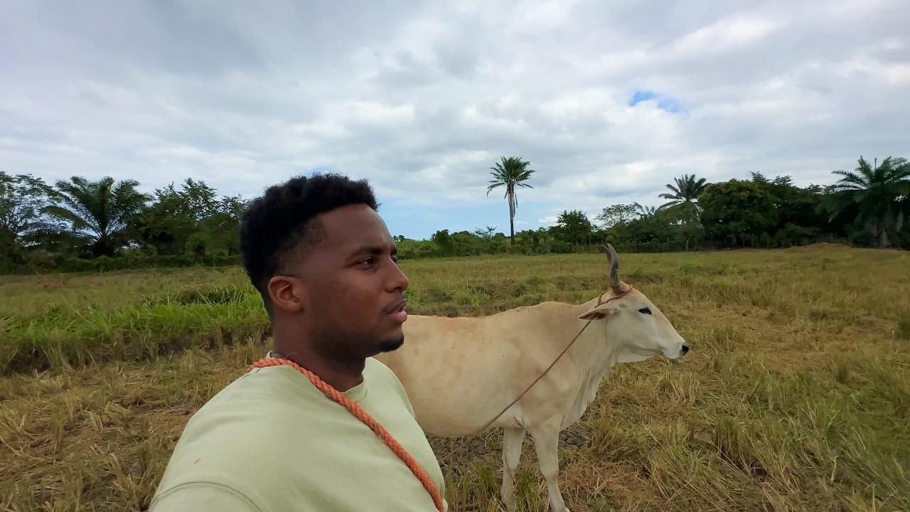 Ann ale vizite yon fèm nan depatman nòdès