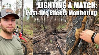 Lighting a Match, Post-Fire Effects Monitoring on a Recent Prescribed Burn by The Orianne Society 131 views 1 year ago 7 minutes, 35 seconds