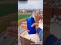 يا نهار اسود