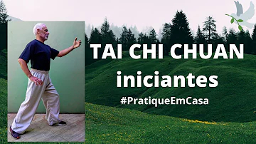 Tem como aprender Tai Chi Chuan sozinho?