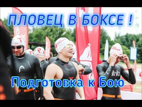 Видео: Пловец атакует Бокс!Подготовка к бою!