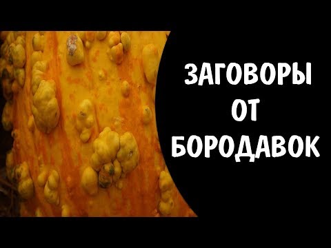 Заговоры от бородавок, на нить, на яблоко