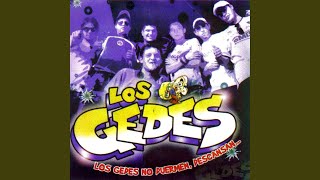 Versión 2 del video