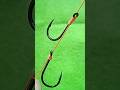 How to tie two hook on a fishing line #fishingline #fishingknot #fishinghook #tutorial #tips