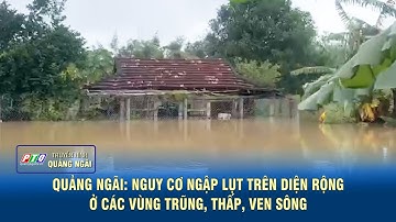 Quảng Ngãi: Nguy cơ ngập lụt trên diện rộng ở các vùng trũng, thấp, ven sông | PTQ