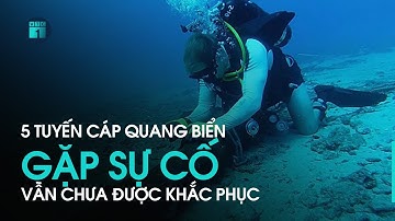 Bản tin chiều 15/4: 5 tuyến cáp quang biển gặp sự cố vẫn chưa được khắc phục | VTC1
