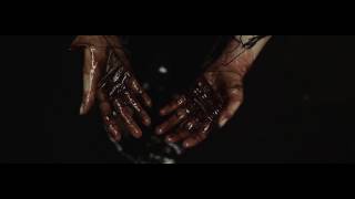 David Vertesi - Waterways (Official Video)