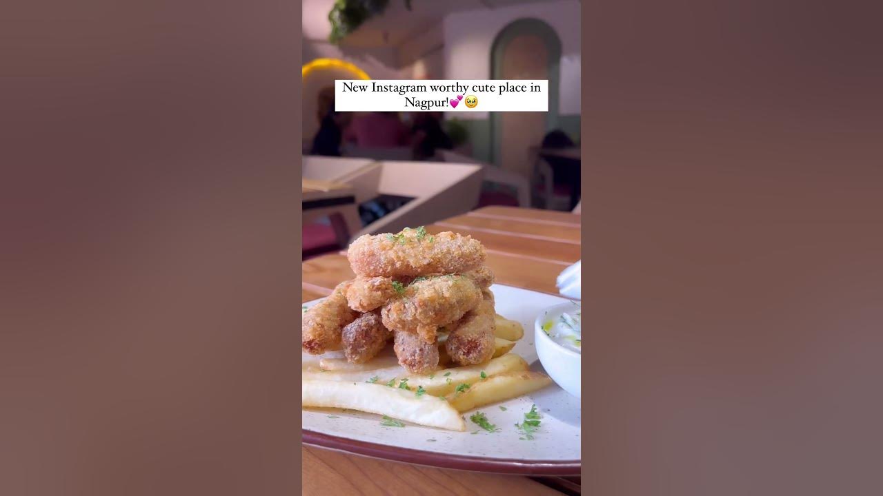 Best New Cafe In Nagpur Little Owl Cafe YouTube best-new-cafe-in-nagpur-little-owl-cafe-youtube