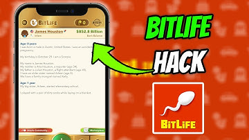 BitLife Hack - How I Got Free Bitizen, Unlimited Money & MORE (iOS Android)