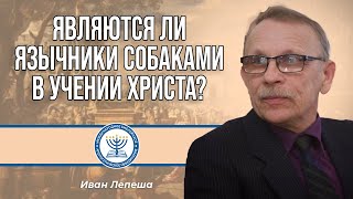 Являются ли язычники собаками в учении Христа? | Иван Лепеша