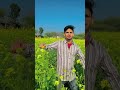 Tera Deewana hun Harsh samjhunga #