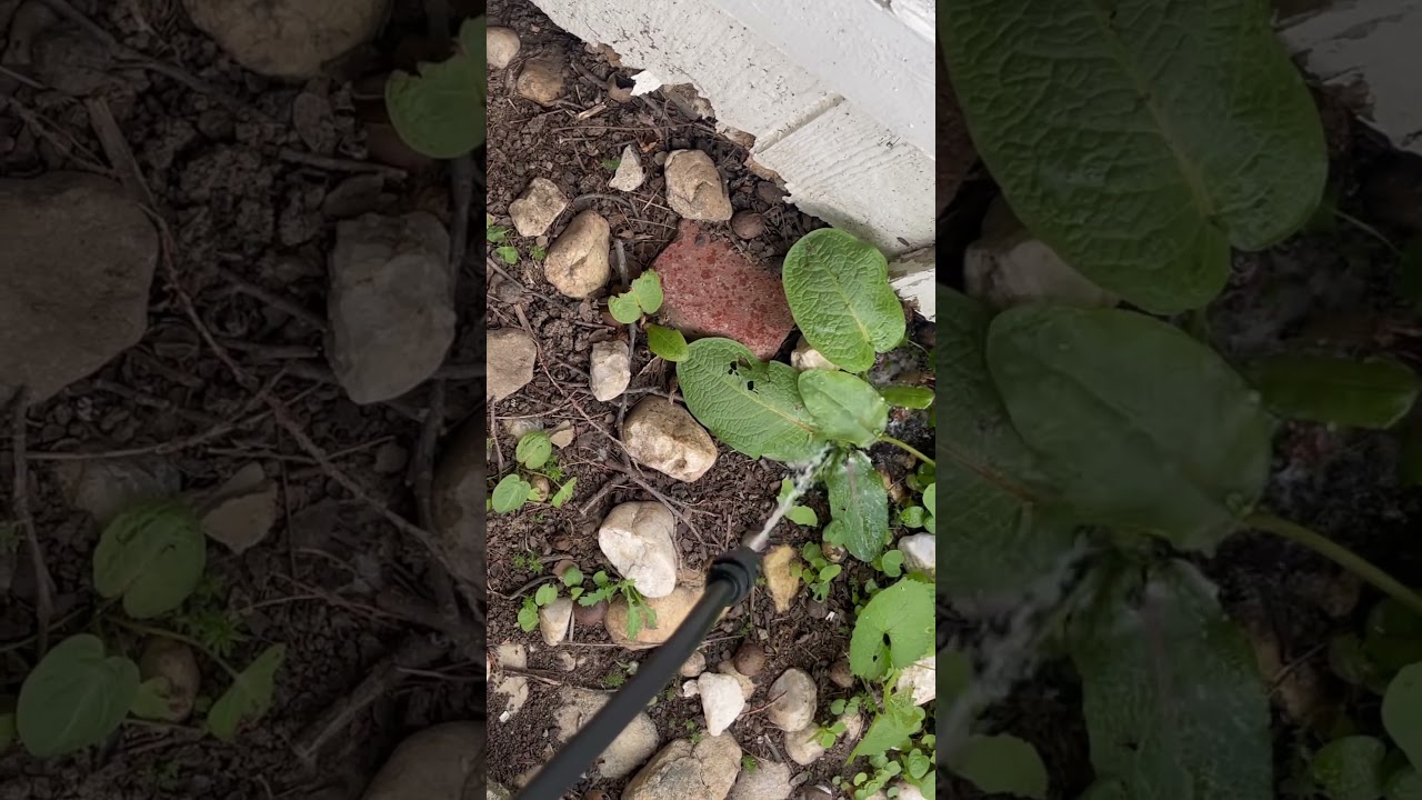 Roundup Lawn and Garden Sprayer 2 Gallon With Poly Adjustable Nozzle Test