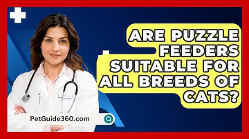 Are Puzzle Feeders Suitable For All Breeds Of Cats? - PetGuide360.com