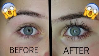 How To Grow Your Eyelashes In 1 Day!