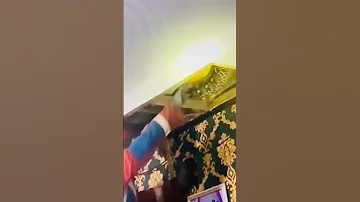 Their Pet Didn T Want To Come Down Hidinginyheattic Subscribe Like Snake Anaconda 