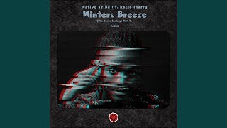 Winters Breeze (Drumetic Boyz & JoeKing Remix)