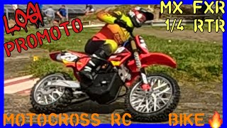 ADRENALIN KICK ON TWO WHEELS: LOSI PROMOTO-MX FXR 1:4 RC MOTOCROSS OR SUPERMOTO RC BIKE!