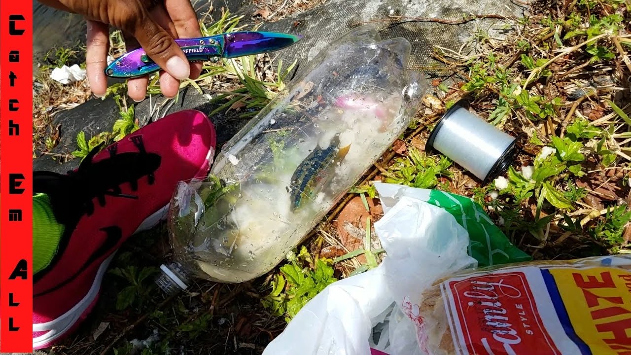 I Made a Fish Trap Out of a Coke Bottle! **Amazing Results**