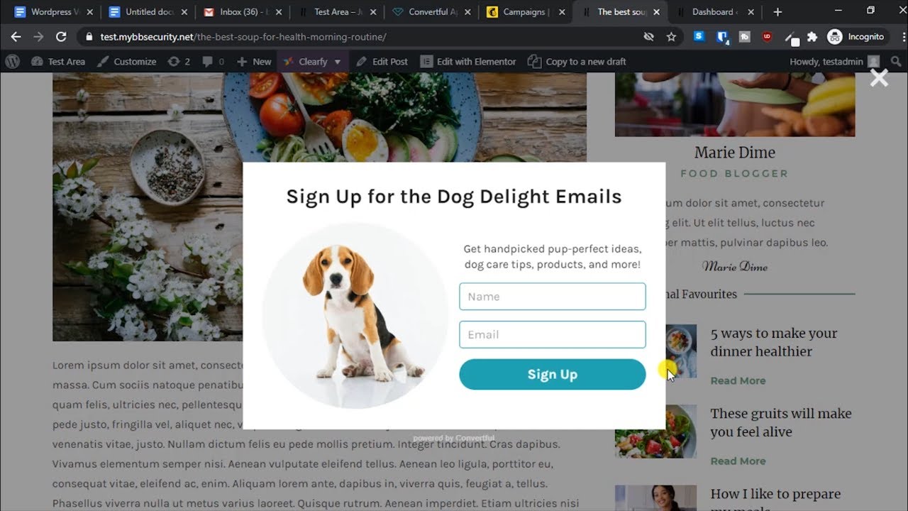 How to add email subscription opt-in form to wordpress using mailchimp ...