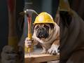 Paws Construction Company #ai #shorts #dog #cat