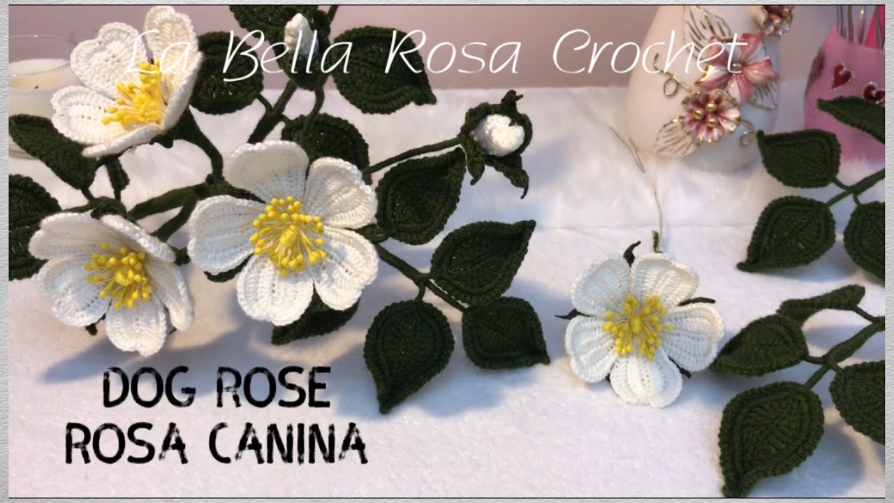 Crochet Rosa canina (dog rose) fleur d’eglantine كروشيه زهرة النسرين الجزء (1)