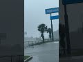 Ducks swim in a flooded Walmart parking lot on Kings Road during Tropical Storm Debby