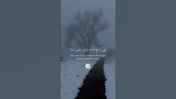 سورة الأحقاف _ الآية 15 " 🕋