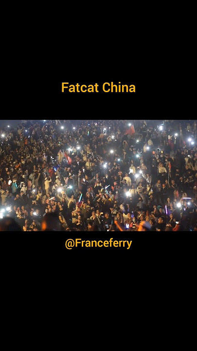 China Berduka||Warga Penuhi Jembatan Chongqing, Karena Kisah Cinta Tragis Fat Cat🥺😭|| #china #fatcat