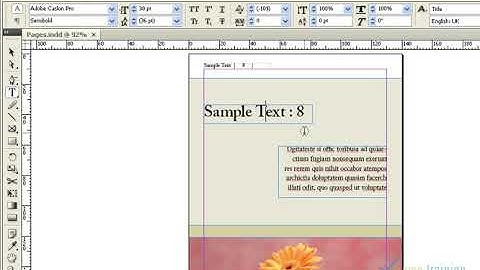 Adobe Indesign Tutorial in Tamil | Create Outlines