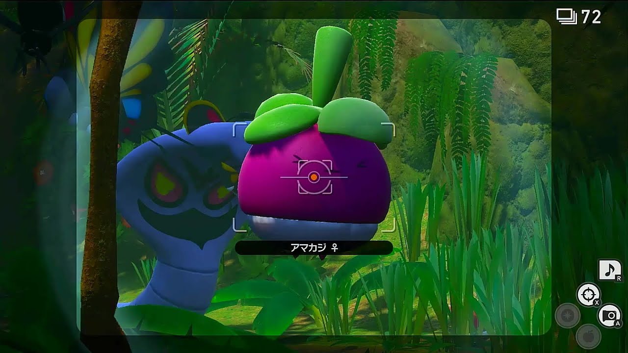 Newポケモンスナップ 2アマカジ 撮影方法 ハイスコア Youtube