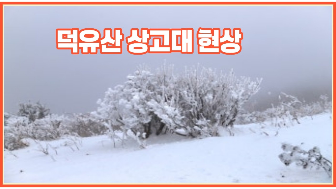 덕유산 향적봉 덕유산 상고대 현상 덕유산 설경