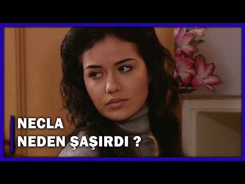 Necla Neden Şaşırdı? - Yaprak Dökümü 63.Bölüm