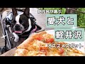 【犬と軽井沢】無料で過ごせる地元民のオススメスポット！ボストンテリアきいろさん
