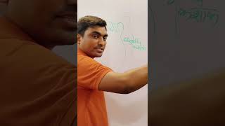 which organism is connecting link between plant and animal