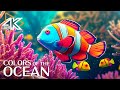 Enchanting Aquatic Life 4K (ULTRA HD) 🐠 Beautiful Coral Reef Fish - Relaxing Sleep Meditation Music