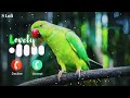 New Ringtone | Mp3 Ringtone | Hindi Ringtone Caller Tune | @RingtonesGodGuru