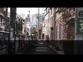 霧雨の夏、18度の朝 | Tokyo Weather Music 2026-06-15