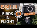 Olympus OM-D E-M1 III - Birds in Flight Review & Tutorial (also for E-M1X, E-M1 II and E-M5 III)