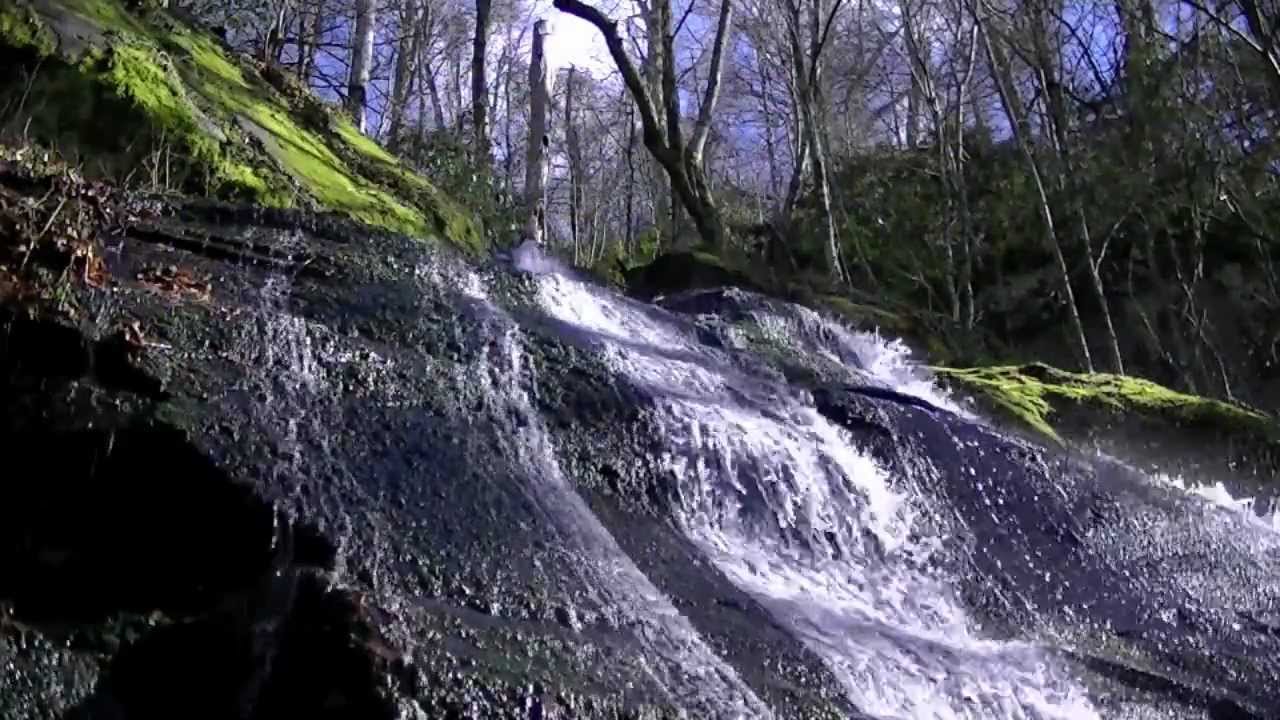 Fern Branch Falls, Porters Creek Trail, Great Smoky Mountains NP YouTube
