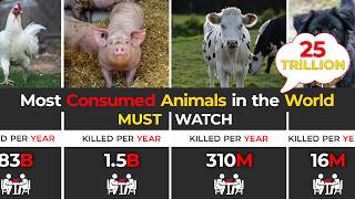 Top 50 Most Consumed Animals in the World (Shocking Meat Consumption Data)