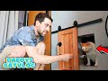 MINI Cat Door Connecting to Master Bedroom! + Their Outdoor Garden | DaBoys CatVlog