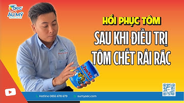 SH ZYM NO.1 - Hồi phục tôm sau khi giải quyết hiện tượng Tôm chết rải rác | Au My AEC