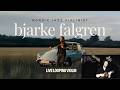Rossignol: Solo Violin Loop Pedal Performance | Bjarke Falgren (Live)