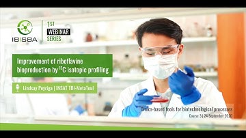 Improvement of riboflavine bioproduction by 13C isotopic profiling