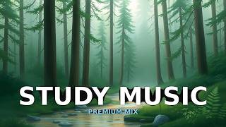 Serene Coding Office | Deep Ambient Music for Work &amp; Focus