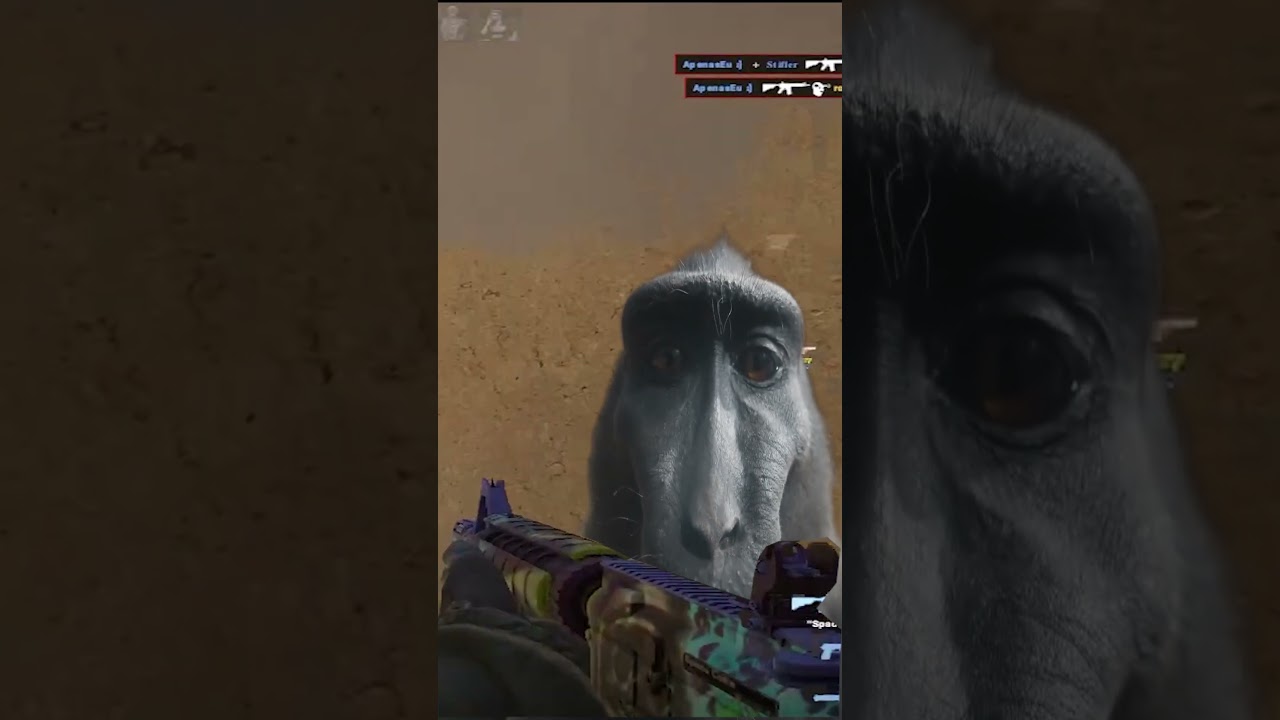 QUANDO VOCÊ NÃO OLHA TODOS OS ANGULOS #cs2 #fallen #csgo #gaming #csgobr