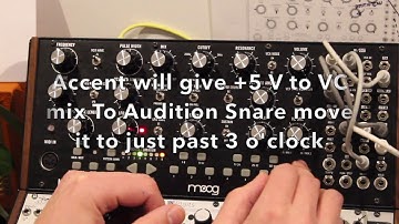 Moog Mother 32 Multi Voice Filter Kick Patch Tutorial