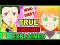 The Tragic Rise & Fall of Promised Neverland Anime