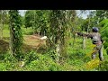 Jamaican Countryside
