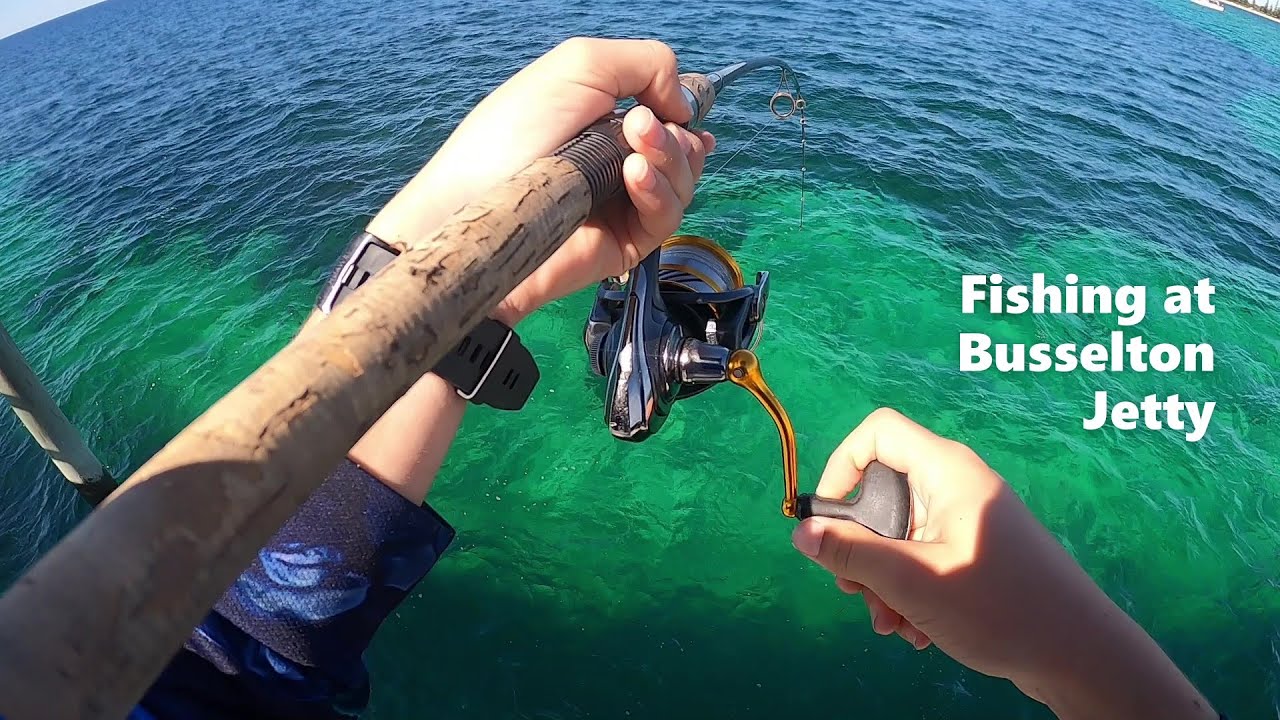 Catching Lots of Fish at Busselton Jetty YouTube